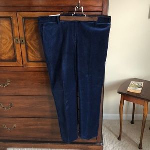 Size 14 Ann Taylor Pants in Blue Velvet New with Tags